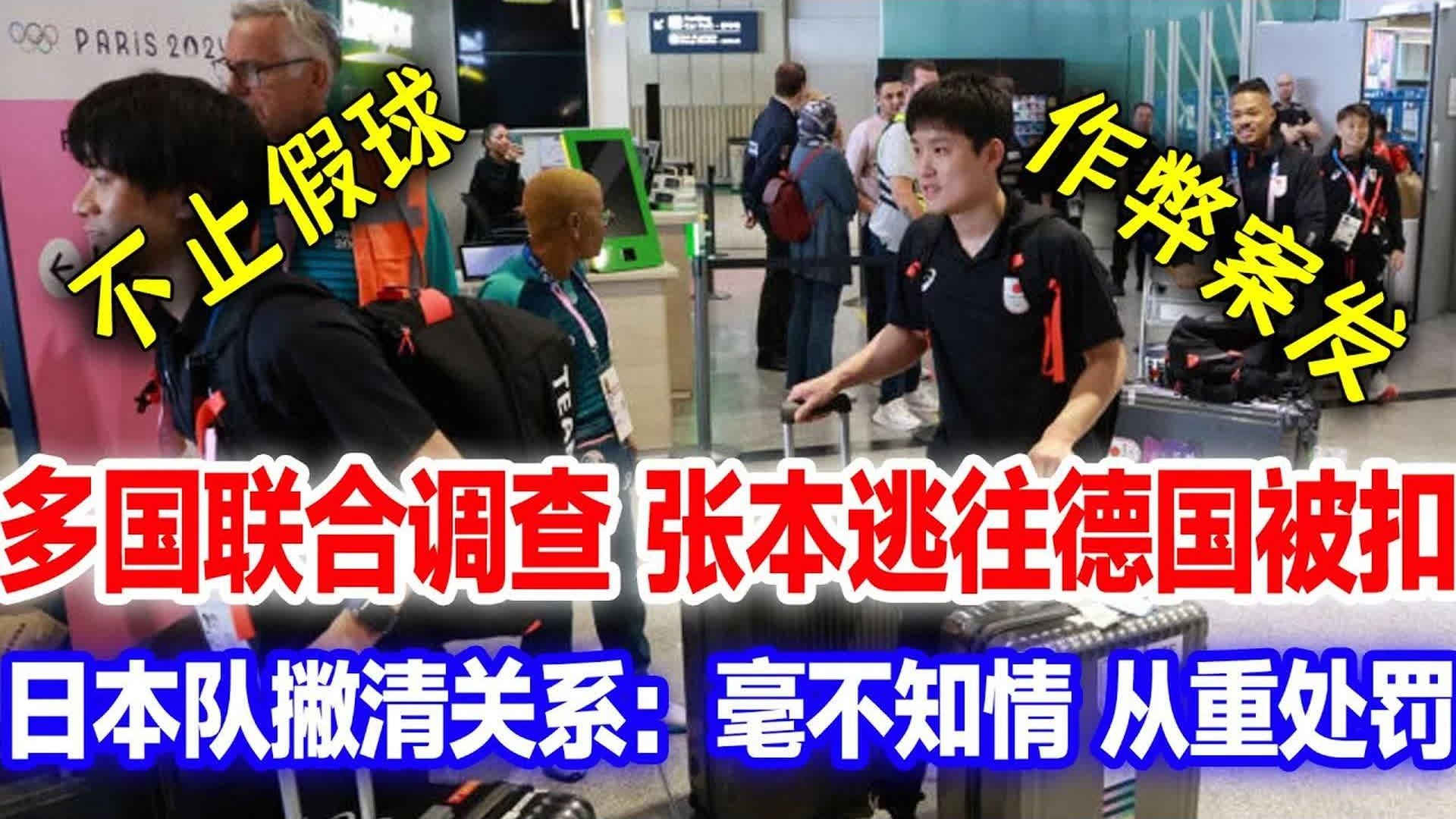 韩国队鏖战德国队，张本智和高光表现