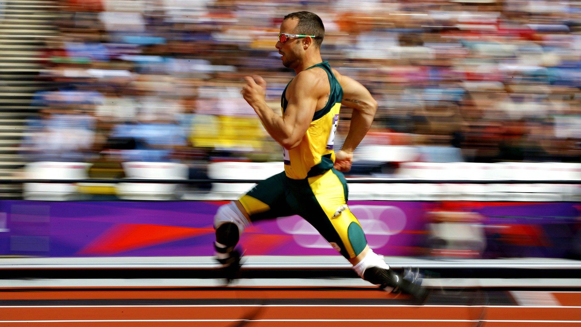 张本智和状态火热难挡团队差距，葡萄牙队碾压日本队展现整体实力